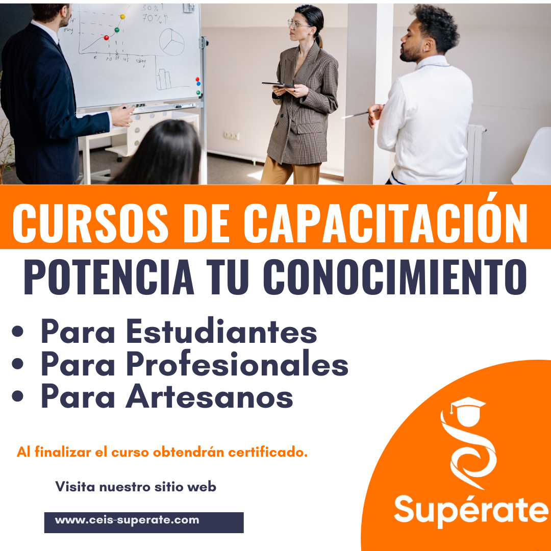 Curso Capacitación 1